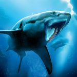 Helicoprion Simulator MOD Unlimited Money 1.2.4 Helicoprion Simulator MOD Unlimited Money 1.2.4